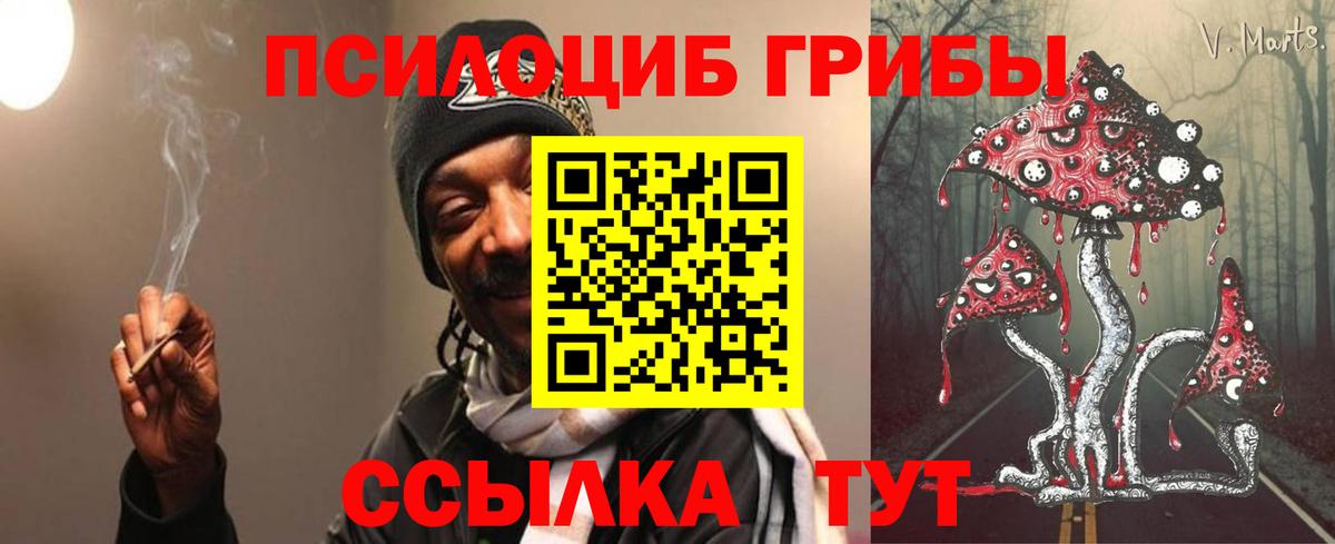 Псилоцибиновые грибы мухоморы  Вход с VPN  Кисловодск  Галлюциногенные грибы прущие грибы 